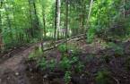 Terre/Terrain
