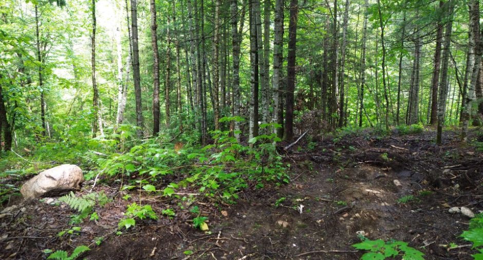Terre/Terrain