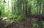 Terre/Terrain