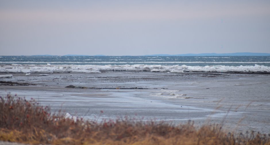 Vue sur l'eau