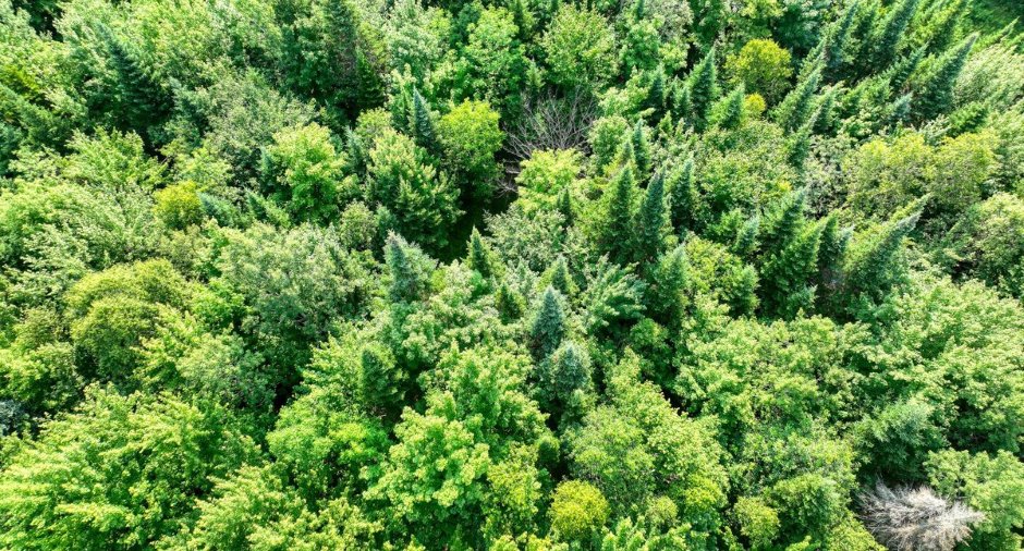 Aerial photo