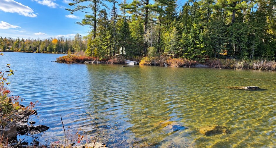 Vue sur l'eau