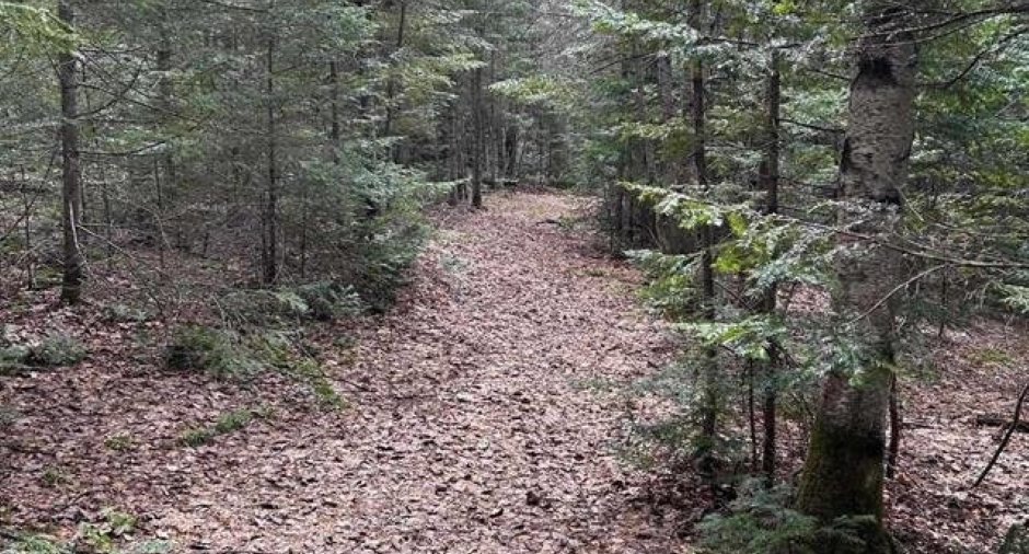Terre/Terrain