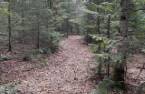 Terre/Terrain
