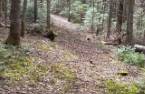 Terre/Terrain