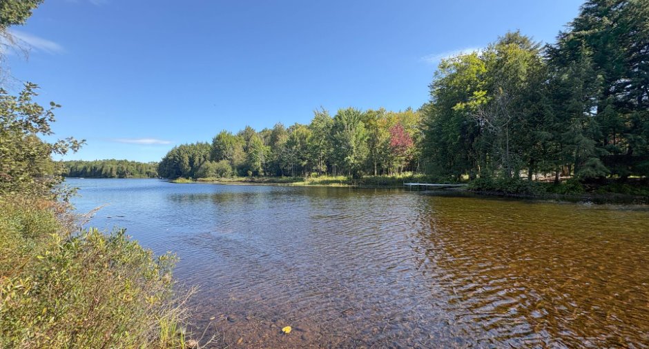Bord de l'eau