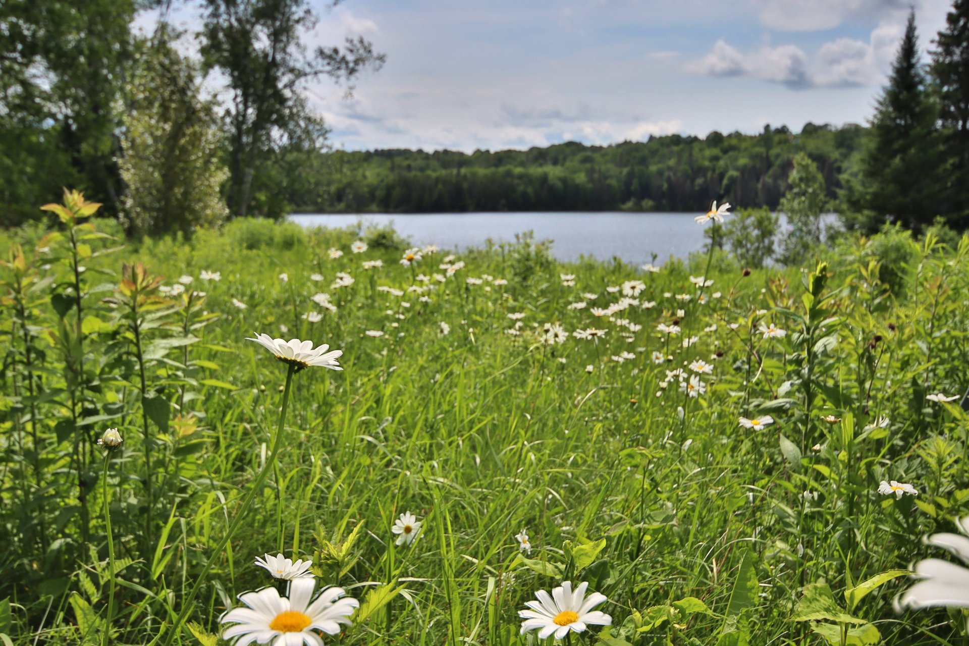 19 Ch. du Lac-Boucher — photo 2