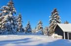 Terre/Terrain