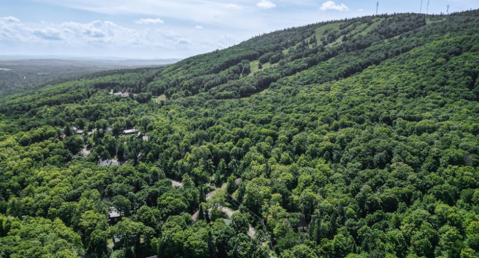 Vue