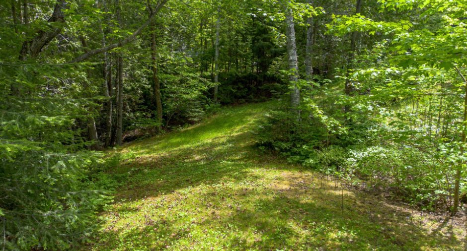 Terre/Terrain