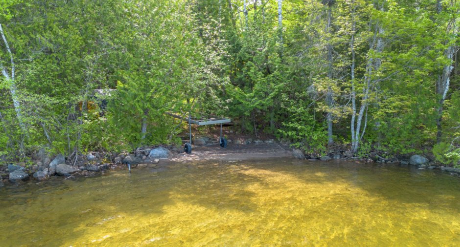 Bord de l'eau