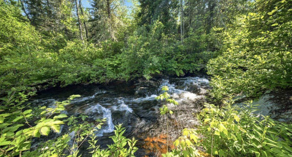 Accès au plan d'eau