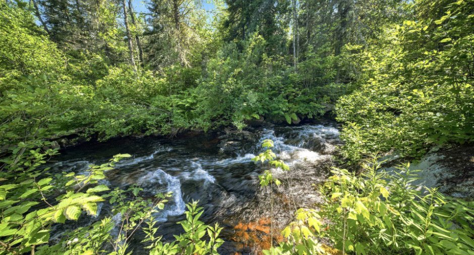 Accès au plan d'eau