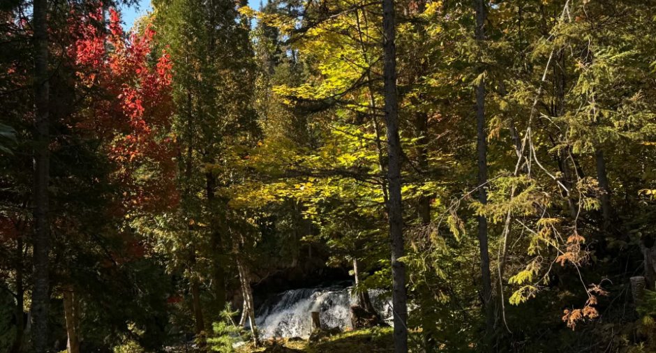 Accès au plan d'eau