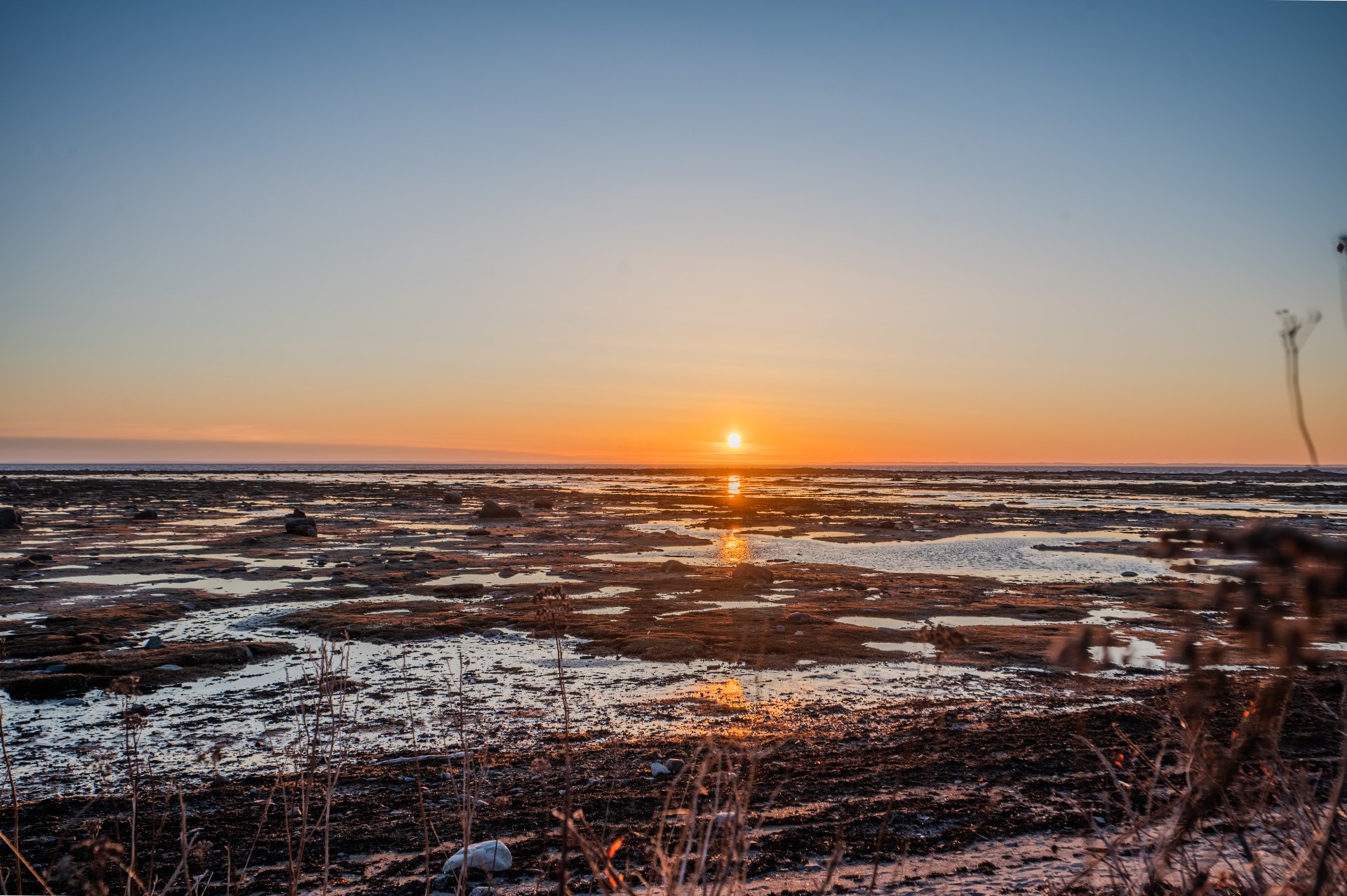 Vue sur l'eau