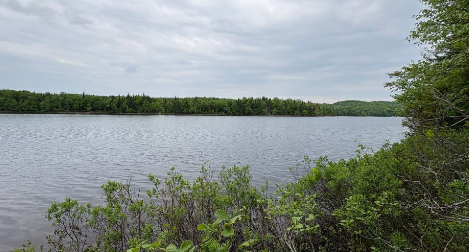 Water view
