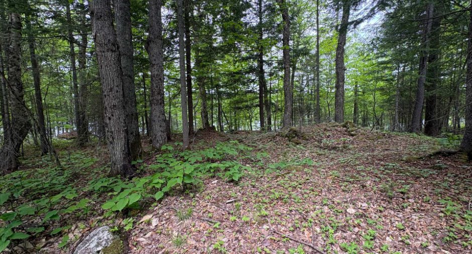 Land/Lot