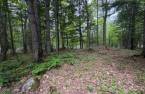 Land/Lot