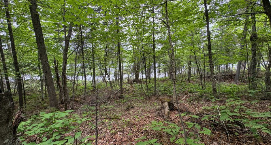 Land/Lot