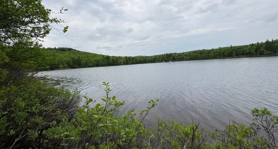 Water view