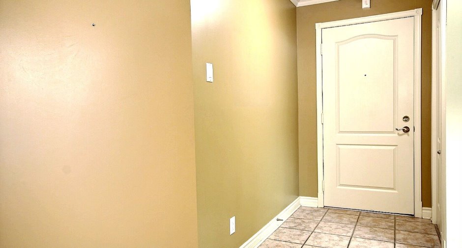 Hall d’entrée/Vestibule
