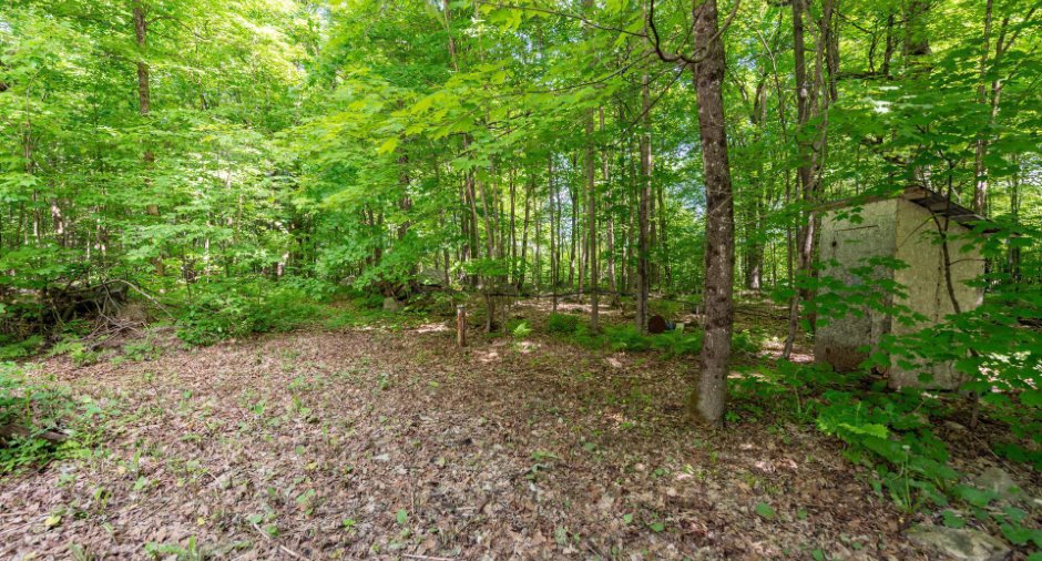 Terre à bois
