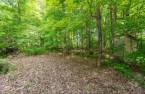 Terre à bois