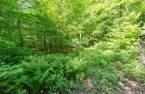 Terre à bois