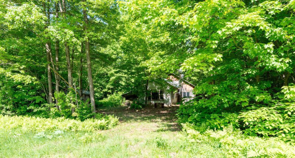 Terre à bois