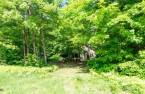 Terre à bois