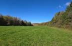 Terre/Terrain