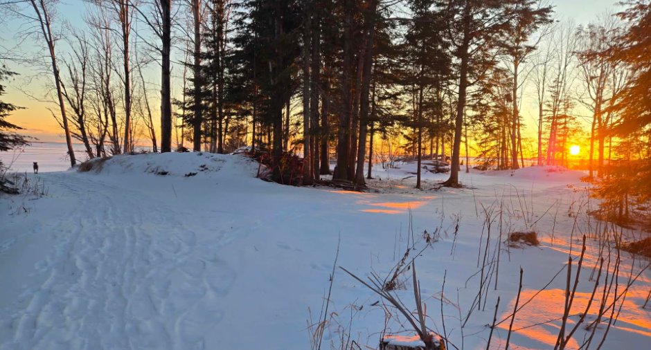 Land/Lot
