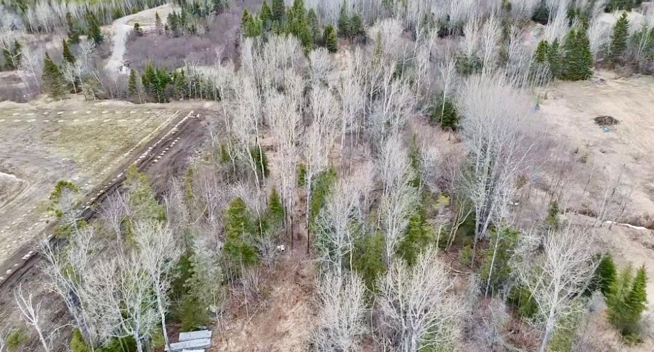 Land/Lot