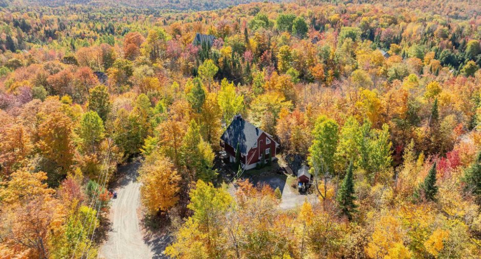 Aerial photo