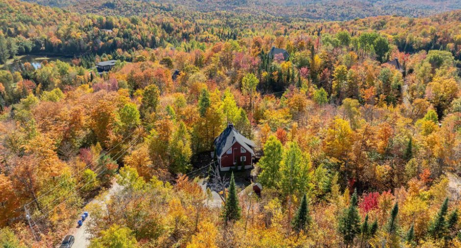 Aerial photo