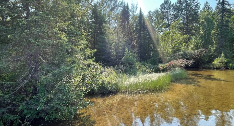Vue sur l'eau