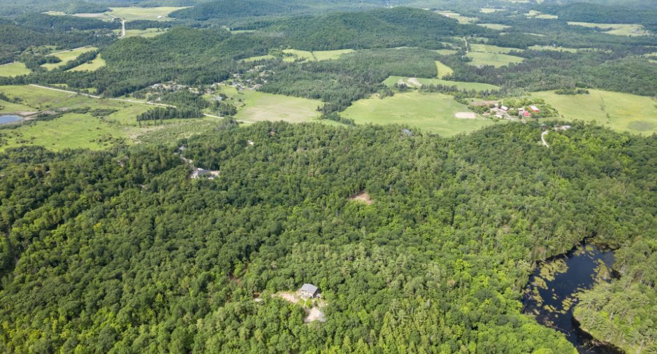 Vue