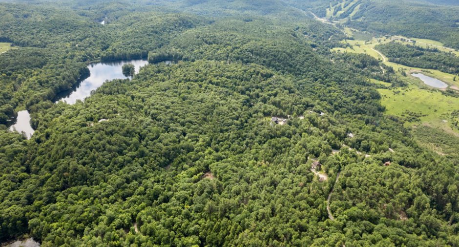 Vue