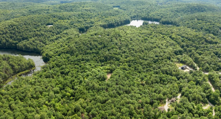 Vue