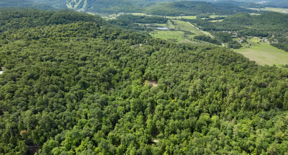 Vue