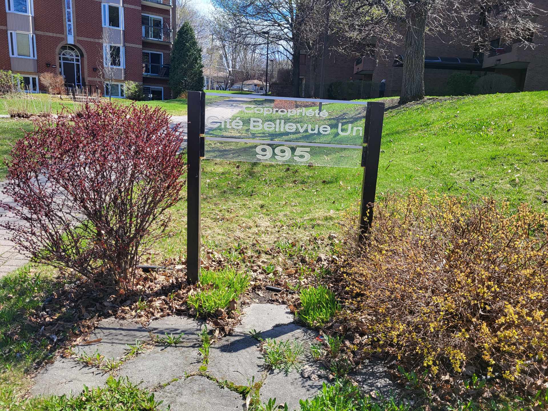 995 Rue Gérard-Morisset (#505) — photo 2