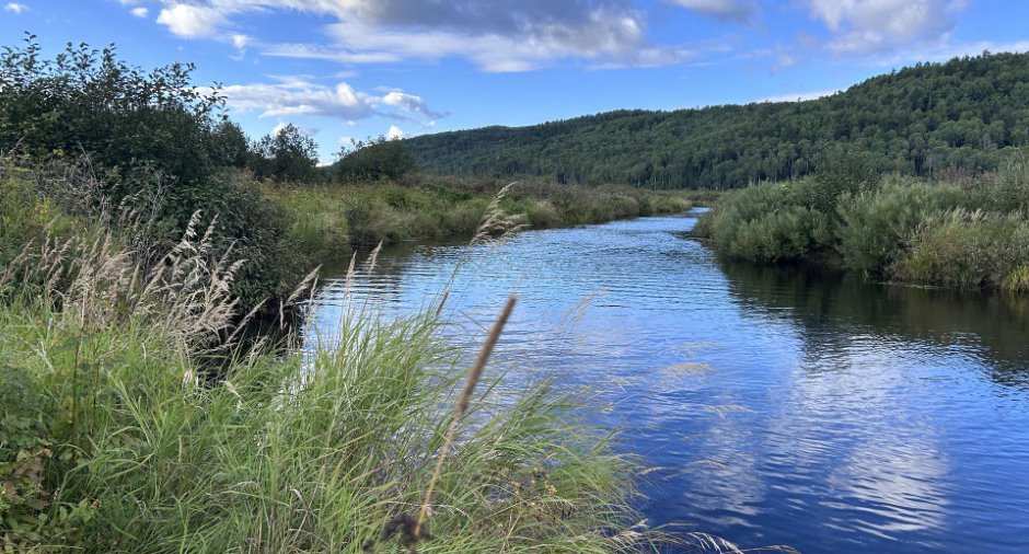 Access to a body of water