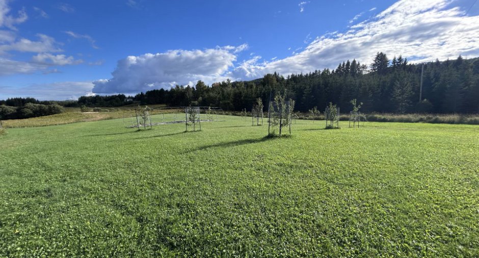 Land/Lot