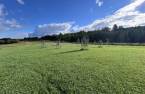 Land/Lot
