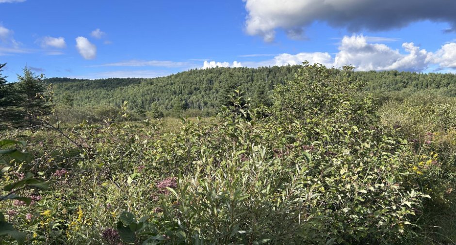Land/Lot