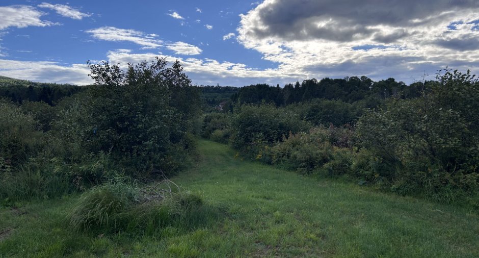 Land/Lot