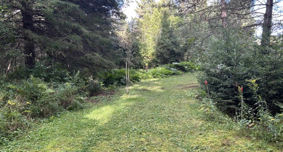 Land/Lot