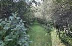 Land/Lot