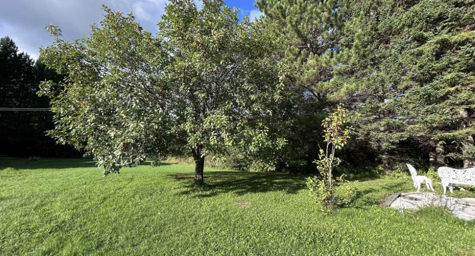 Land/Lot