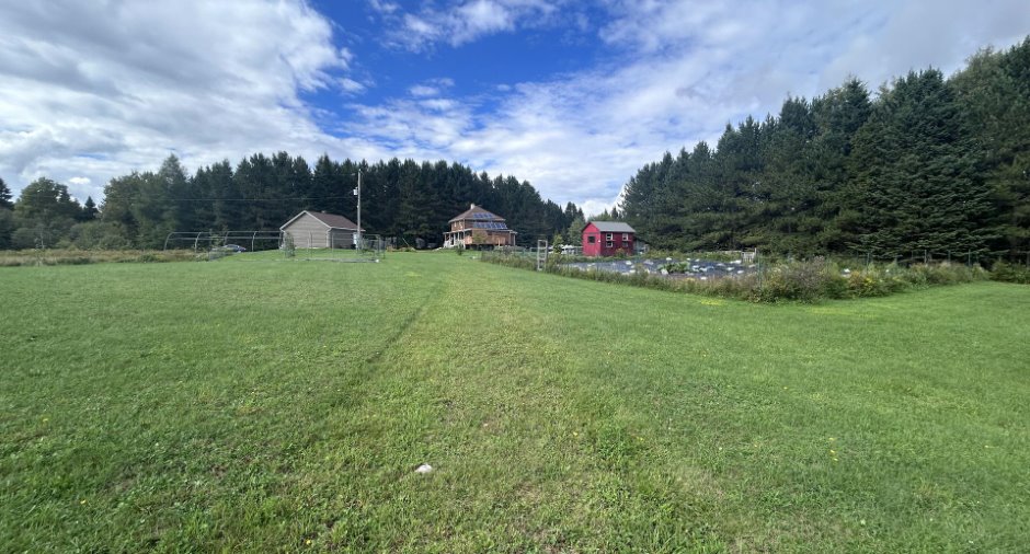 Overall View